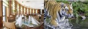 1 Tag ZOOM Erlebniswelt + 1 &Uuml;N im 4 *-Hotel inkl. Fr&uuml;hst&uuml;ck + Wellness ab 49&euro; p.P.