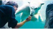1 Tag ZOOM Erlebniswelt + 1 &Uuml;N im 4 *-Hotel inkl. Fr&uuml;hst&uuml;ck + Wellness ab 49&euro; p.P.
