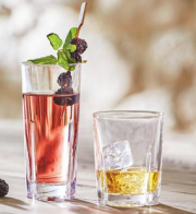 10 Longdrink- oder Whiskygl&auml;ser von Nachtmann mit Newsletteranmeldung nur 14,35 Euro