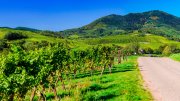 1 &ndash; 3 &Uuml;N im 3*-Hotel im Elsass inkl. Fr&uuml;hst&uuml;ck & 2 Flaschen Wein ab 39&euro; p.P.