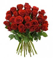 42 rote Rosen mit 50cm L&auml;nge f&uuml;r 24,94&euro; inkl. VSK