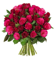 Toller Blumenstrau&szlig; mit 44 Rosen f&uuml;r gerade mal 19,99 Euro!!! Damit seid ihr der Hit!