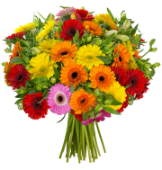 Strau&szlig; " Flower Power" bei Blume Ideal f&uuml;r 19,99&euro; anstatt 24,95&euro;