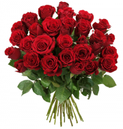 Der perfekte Liebesbeweis! 47 Rote Rosen f&uuml;r 21,99 statt 46,99