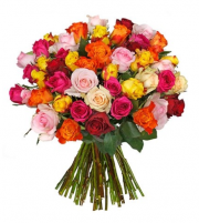 Rosenrausch bei Blume Ideal, 43 Rosen f&uuml;r nur 18,99 Euro