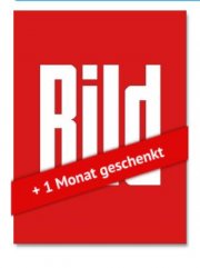 13 Monate &bdquo;Bild Zeitung&ldquo; freihaus nur noch 156&euro; statt 312&euro;