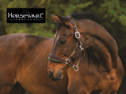 Bei Vente Privee gibt es bis zu 70% auf hochwertige Reitbekleidung von Horseware Irland