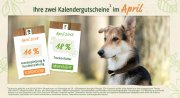 14% auf Hundespielzeug + 18% auf Trockenfutter bei Alsa Hundewelt