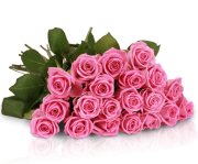 Lovely Pink Blumenarrangement mit 20 rosa Rosen f&uuml;r 17,90 inkl. Versand