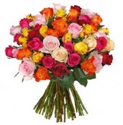 37 bunte Rosen mit 50cm L&auml;nge f&uuml;r 22,94&euro; statt 40,95&euro;