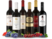 Das gro&szlig;e Tempranillo-Weinpaket bei Ebrosia f&uuml;r 39,99&euro; anstatt 62,04&euro;