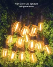 15 Vintage Edison-Birnen 2W und 1 Ersatzbirne