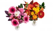 Mixstrau&szlig; Blumen bei Kaufland f&uuml;r 4,99&euro;