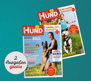 Jetzt 2 Ausgaben von "Der Hund" gratis lesen!