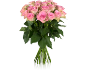 Miflora: Strau&szlig; mit 20 Rosen &bdquo;Lovely Pink&ldquo; f&uuml;r 17,90&euro;