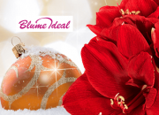 Mit Gutscheincode 16% Rabatt auf sch&ouml;ne Blumenstr&auml;u&szlig;e bei Blume Ideal