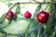 Kindle-eBook - verschiedene kostenlose B&uuml;cher mit Weihnachtsgeschichten