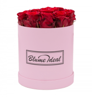 WOW! Infinity Christmasbox bei Blume ideal f&uuml;r 89,94&euro; statt 129,94&euro;