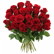 39 rote Rosen + 2 gratis Geschenke bei Blume Ideal f&uuml;r 24,98&euro; anstatt 44,98&euro; 