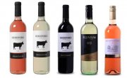 Weinvorteil!!! mit bis zu 50% Rabatt auf alle nichtreduzierten Weine + VSK-frei ab 18 Flaschen