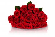 20 Rote Rosen mit XXL-Bl&uuml;tenk&ouml;pfen f&uuml;r nur 19,95 &euro; 
