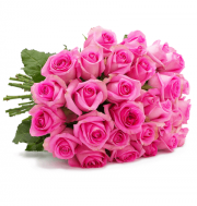 44 Rosen"Pink Diamonds" bei Blume Ideal f&uuml;r 24,98&euro; anstatt 44,98&euro;