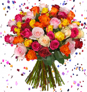 Silvesterkracher !!! Blumenstrau&szlig; mit 44 bunten Rosen f&uuml;r 22,94 inkl. Versand