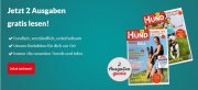 2 Ausgaben &bdquo;Der Hund&ldquo; gratis