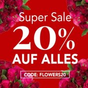 20% bei Blume Ideal