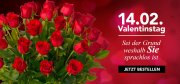 20% Rabatt auf ausgew&auml;hlte Blumenstr&auml;u&szlig;e bei Blume ideal