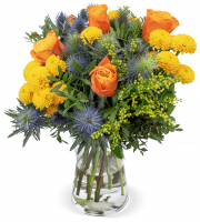 20% Rabatt auf fast ALLES im Blume-Ideal Online-Shop