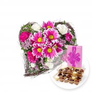 20% Rabattgutschein auf alles im Lidl Blumen Shop