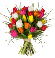 Tulpenstrau&szlig; &bdquo;Modern Love&ldquo; f&uuml;r 19,98&euro; statt statt 29,98&euro;