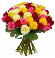 37 Rosen "HappyNewYear"7-Tage-Frische-Garantie , 50cm l&auml;nge f&uuml;r 21,98&euro; statt 41,98&euro;