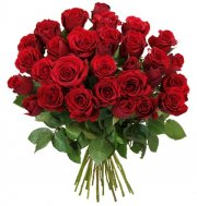 44 rote Rosen! Endless Love (Stiell&auml;nge 50cm) f&uuml;r 24,98&euro; inkl. Versand statt 48,98&euro;