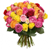 XXL-Rosenstrau&szlig; "Rainbow Roses" mit 39 Rosen nur 22,98 Euro inkl. Versand 