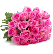 Prachtvolle 44 Rosen Pink Diamonds nur 24,98 Euro inkl. Versand bei Blume Ideal