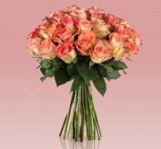 22 rosafarbene Rosen nur 18,90&euro; inkl. Versand