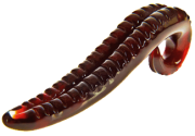 GLASSVIBRATIONS Teufelszunge Dildo