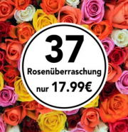 Riesige Rosen&uuml;berraschung bei Blume Ideal aus 37 Rosen nur 22,98 Euro inkl. Versand