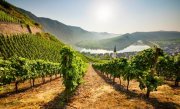 Valwig an der Mosel 2&Uuml;N/HP f&uuml;r 2P. bei Groupon f&uuml;r 149&euro; anstatt 277,50&euro;