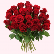 40 rote Rosen nur 24,94 &euro;&nbsp;inkl. Versand