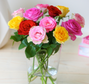 Strau&szlig; aus 12 gemischten Rosen mit Gutscheincode nur 8,45 Euro inkl. Versand bei BloomPost
