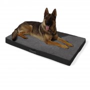 brunolie &bdquo;Buddy&ldquo; Hundebett waschbar, orthop&auml;disch und rutschfest @ebay 39,95&euro;
