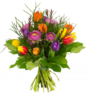 Tulpenstrau&szlig; Fr&uuml;hlingserwachen bei Blume Ideal f&uuml;r 19,98&euro; anstatt 29,98&euro;