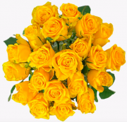 24 gelbe Rosen im Strau&szlig; &bdquo;YellowJewels&ldquo; f&uuml;r 18,94&euro; inkl. Versand statt 24,99&euro;