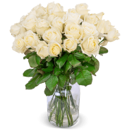  24 wei&szlig;e Premium-Rosen , 7-Tage-Frischegarantie, 50cm L&auml;nge f&uuml;r 24,98&euro; statt 64,98&euro;