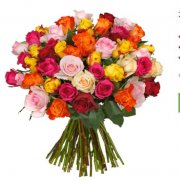 28 bunte Rosen (mit 50cm L&auml;nge)