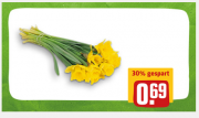 Offlinedeal: Feldnarzissen je Bund (g&uuml;ltig bis 03. M&auml;rz 2018) bei rewe f&uuml;r 0,69&euro;