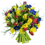 Blumenstrau&szlig; XXL &ndash; 50 Stiele f&uuml;r 29,98 &euro; statt 52,98&euro;